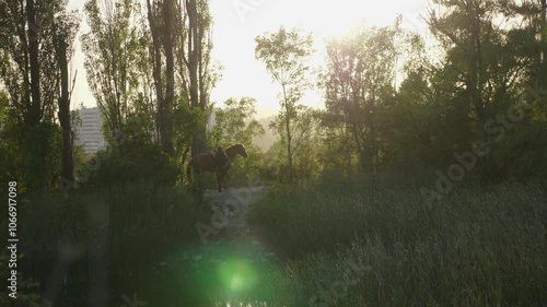 A rider on a horse by the pond
