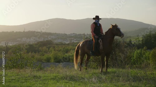A rider on a horse in a field