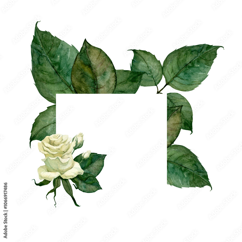 Fototapeta premium Watercolor frame with leaves and white rose