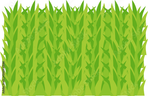 Green grass illustration 