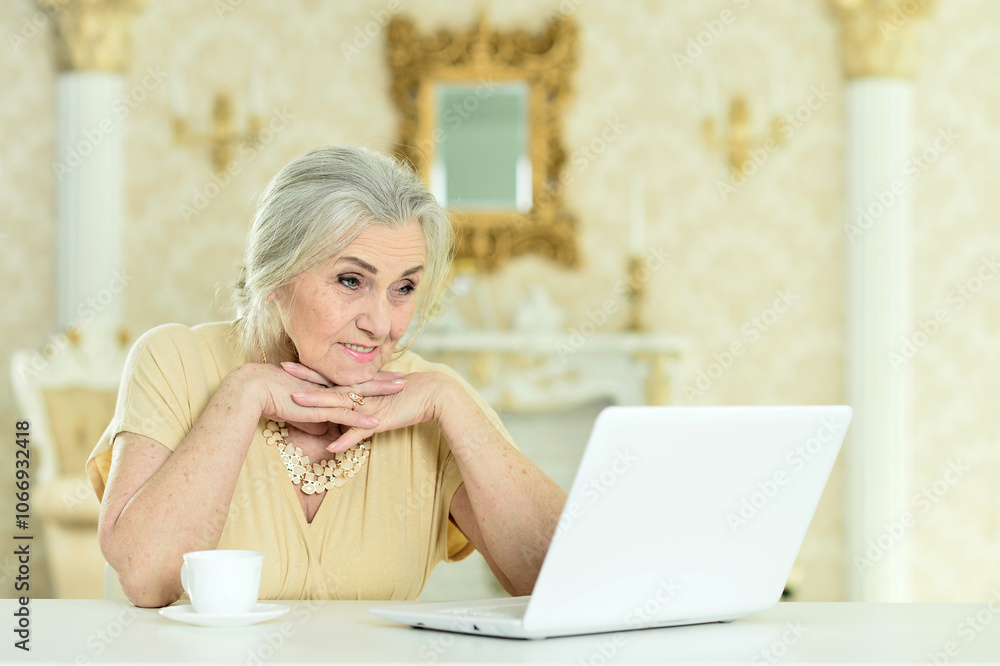 Beautiful elderly woman using a laptop at home Beautiful elderly woman using a laptop at home