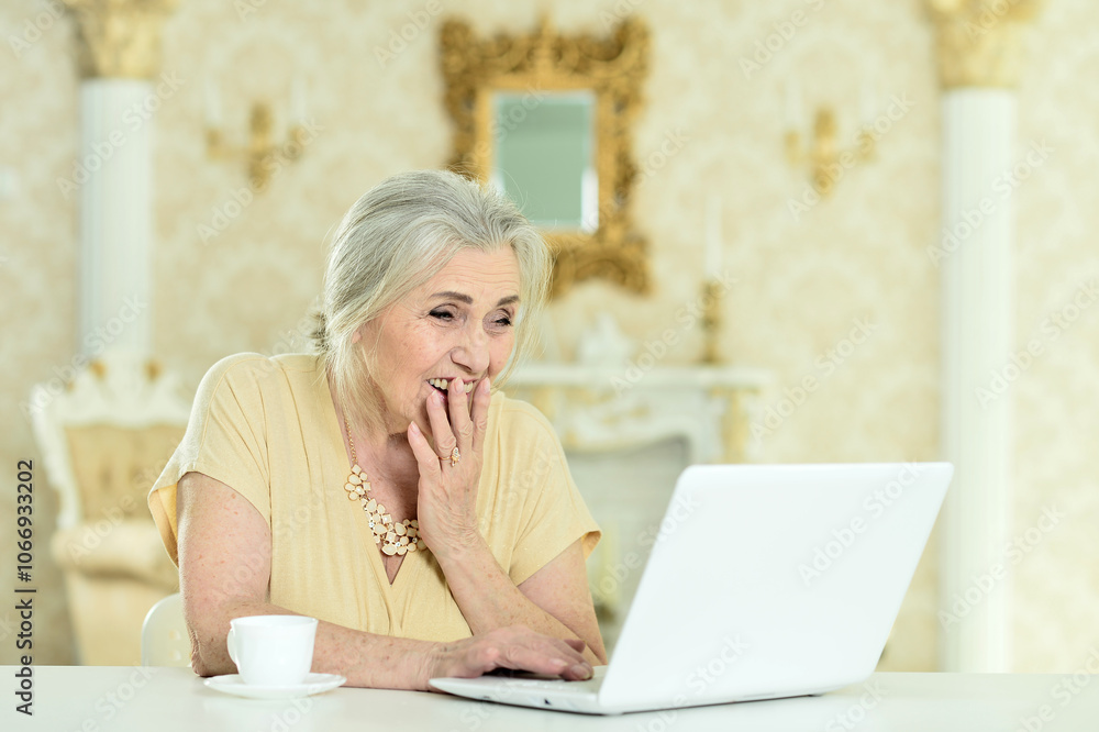 Beautiful elderly woman using a laptop at home Beautiful elderly woman using a laptop at home