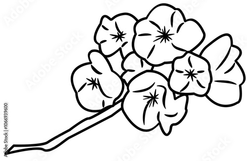 Cherry Blossom Doodle Element coloring page cartoon illustration