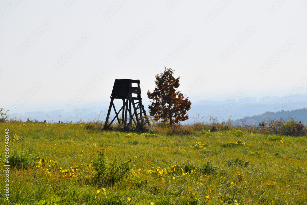 Naklejka premium Lookout tower with a lonely tree at the top of the hill