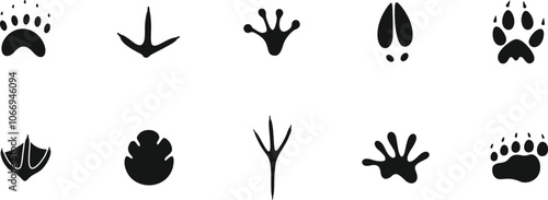 Paw print silhouette. Isolated paw print on white background