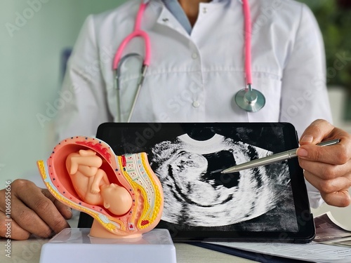 Obraz na płótnie A doctor evaluates a fetal model by viewing prenatal ultrasound images on a tablet