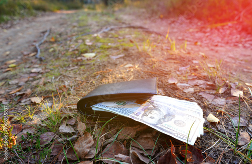 Lost wallet with money lies on ground ine grass. Wallet with money on grass in forest. Wallet with dollars found in the grass. Lost Leather Wallet with Money Drop. Dollar bills money in the grass. photo