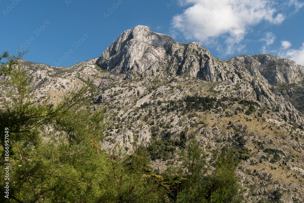 Rocky mountain with a general vegetation Rocky mountain with a general vegetation