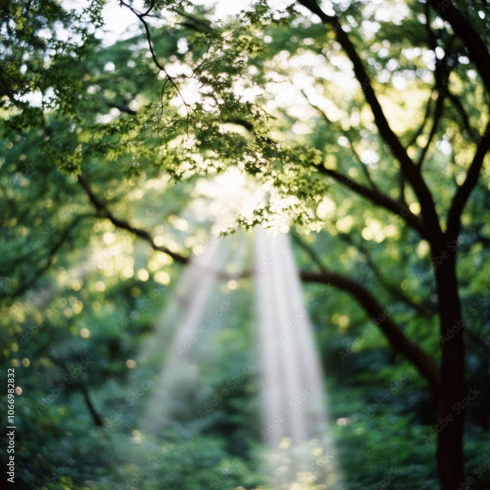 Fototapeta premium Sunlight beams through lush green leaves in a forest, creating a sense of tranquility and peace.
