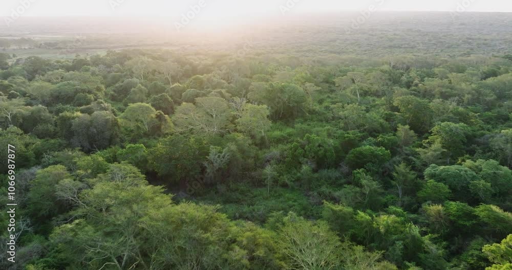 Aerial fly over view of a beautiful tropical rain forest Aerial fly over view of a beautiful tropical rain forest