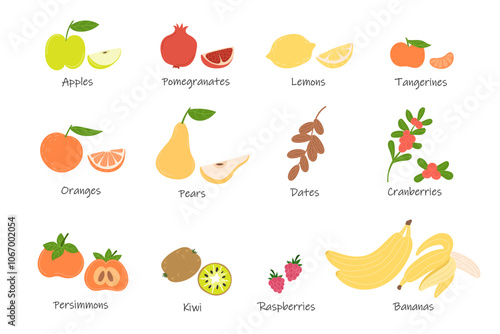 Set of winter fruits including persimmon, orange, pomegranate, mandarin, pear, dates, cranberry, banana, kiwi, lemon, apple, raspberry