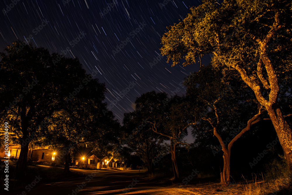 Fototapeta premium Starry Night Sky Over Quiet Rural Street Surrounded by Trees and Rustic Houses