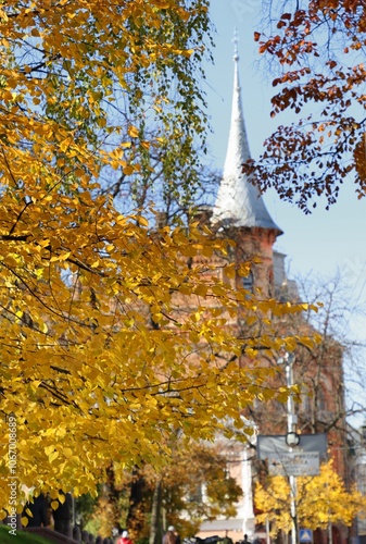 kiev, kyiv, ukraine, architecture, building, city, europe, old, landmark, travel, history, house, exterior, autumn, tree, fall, leaves, yellow, leaf, park, wood, outdoors