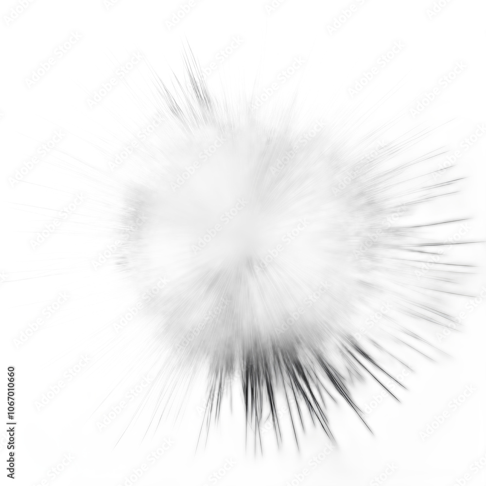 Fototapeta premium Abstract Black and White Explosion Design