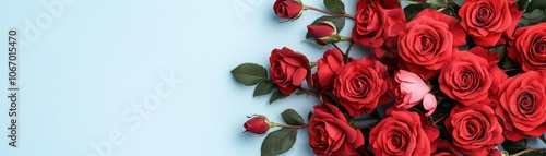 A vibrant bouquet of red roses, elegantly arranged on a soft blue background, creating a striking contrast.