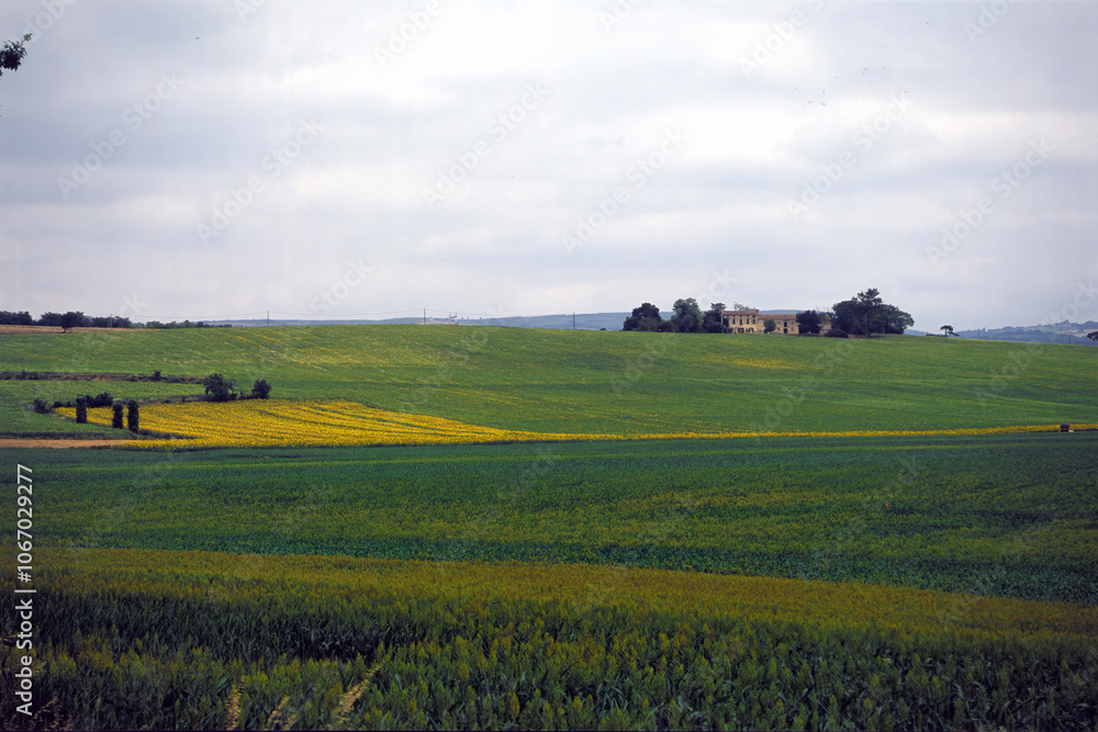 Rural landscape near Albi, Occitanie, France Rural landscape near Albi, Occitanie, France