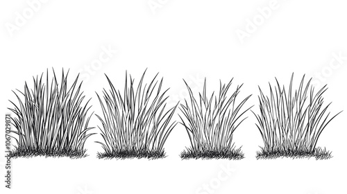 Set of vector grass illustrations on a white background. Architectural Drawings, Minimal style cad turf drawing, Side view, set of graphics meadows elements outline symbol for lawn landscape design
