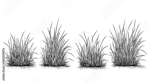 Set of vector grass illustrations on a white background. Architectural Drawings, Minimal style cad turf drawing, Side view, set of graphics meadows elements outline symbol for lawn landscape design