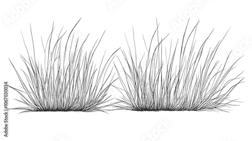 Set of vector grass illustrations on a white background. Architectural Drawings, Minimal style cad turf drawing, Side view, set of graphics meadows elements outline symbol for lawn landscape design