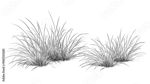 Set of vector grass illustrations on a white background. Architectural Drawings, Minimal style cad turf drawing, Side view, set of graphics meadows elements outline symbol for lawn landscape design