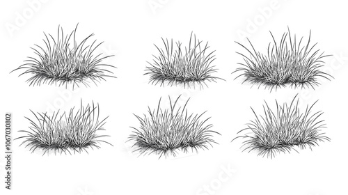 Set of vector grass illustrations on a white background. Architectural Drawings, Minimal style cad turf drawing, Side view, set of graphics meadows elements outline symbol for lawn landscape design