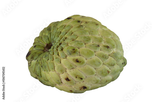 Thai fruit, custard apple, close-up and shockproof photo