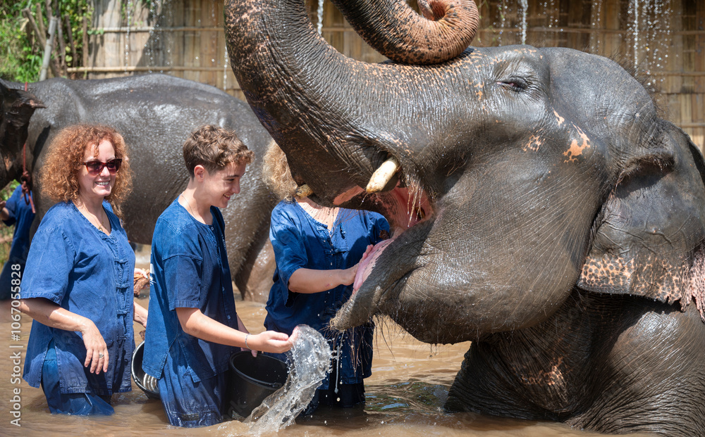 Fototapeta premium A boy and some female tourists interact with a playful elephant while bathing at the Chiang Mai sanctuary in Thailand