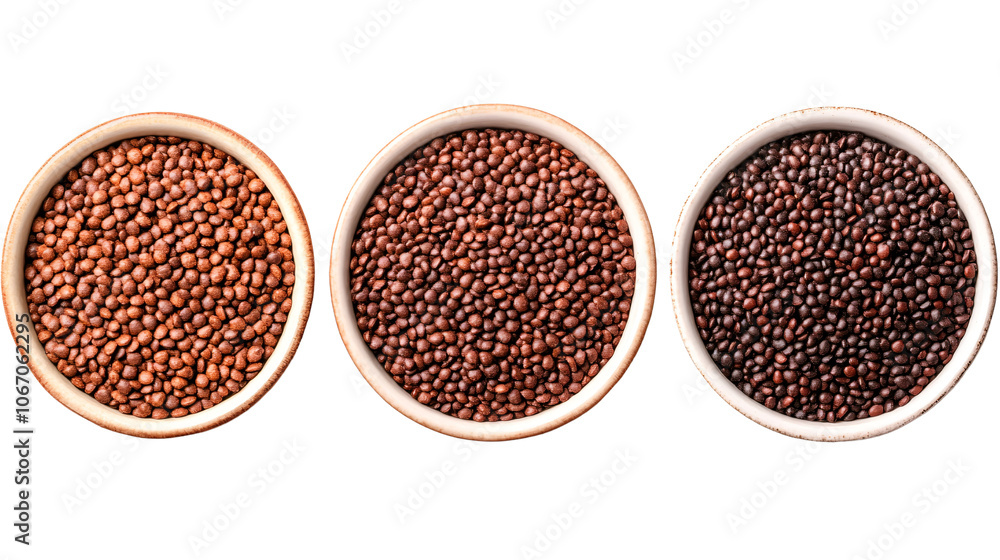 Three Bowls of Brown Lentils Food Photography Healthy Eating Three Bowls of Brown Lentils Food Photography Healthy Eating