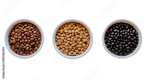 Three Bowls of Pet Food Brown Beige Black Kibble