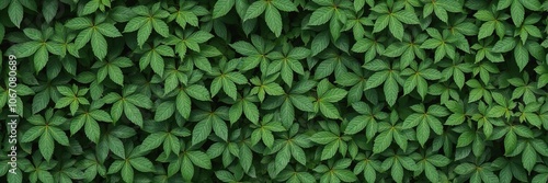 Dense, lush green foliage with intricate leaf patterns, detail