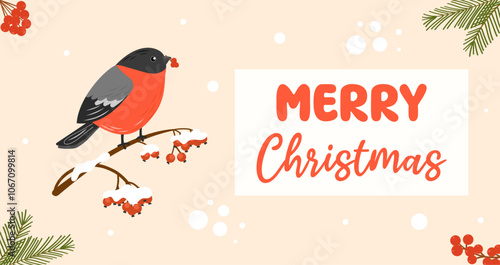 Christmas greeting card. Winter christmas design with bullfinch bird on a branch with berries. Vector template, background, illustration for holiday poster, banner, invitation.