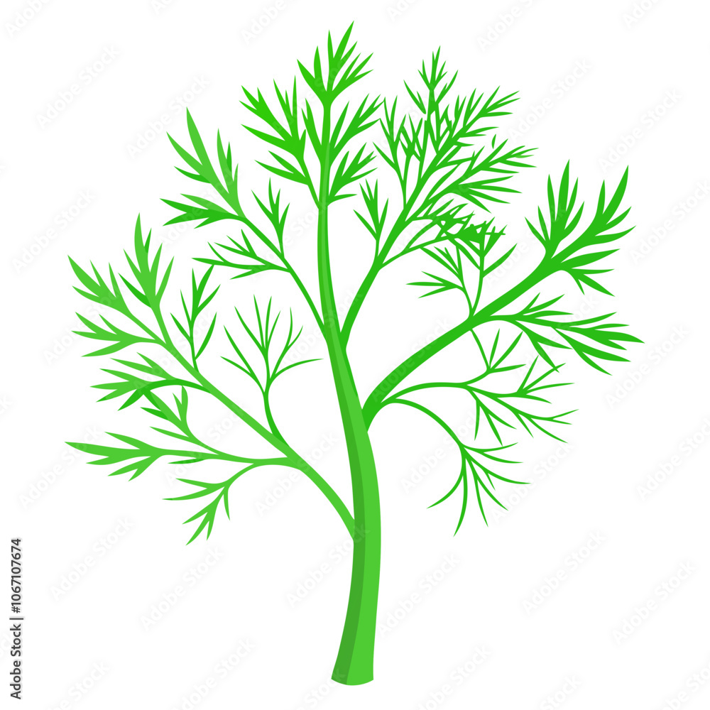Fototapeta premium Green dill Vector illustration 