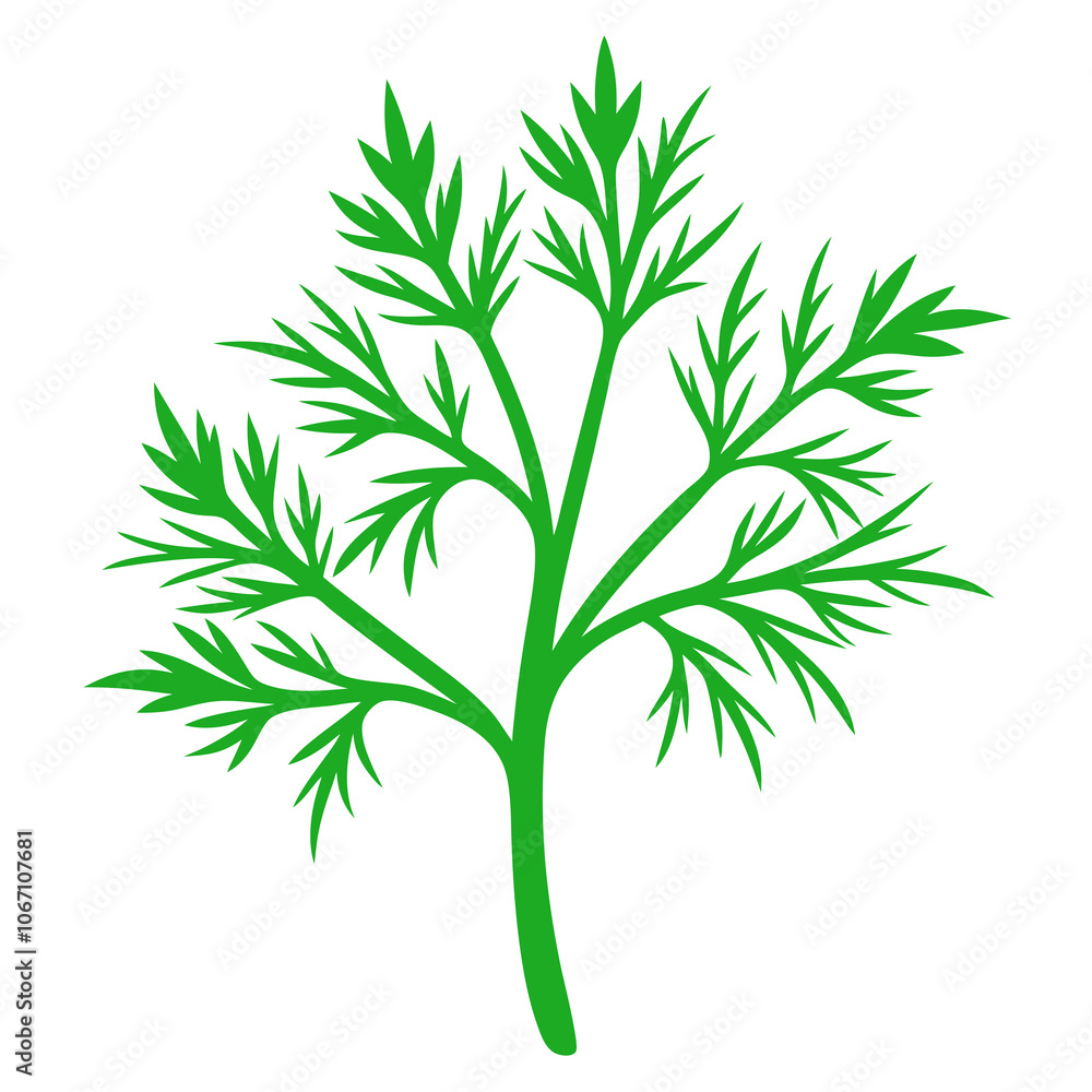 Green dill Vector illustration Green dill Vector illustration