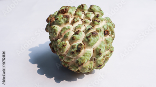 Green fruit food Srikaya, Cherimoya Sugar Apple or Custard Apple or cinnamon apple or Annona squamosa, white bokeh background. for copy space. photo