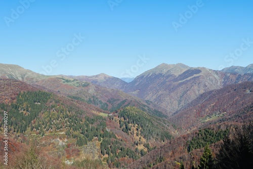 La montaña enseña a caminar, amar y contemplar los cambios de las estaciones. En este caso el color naranja abraza el otoño y el drone lo capta en video.