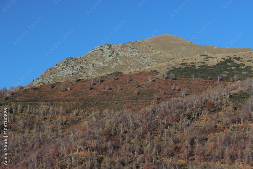 La montaña enseña a caminar, amar y contemplar los cambios de las estaciones. En este caso el color naranja abraza el otoño y el drone lo capta en video. La montaña enseña a caminar, amar y contemplar los cambios de las estaciones. En este caso el color naranja abraza el otoño y el drone lo capta en video.