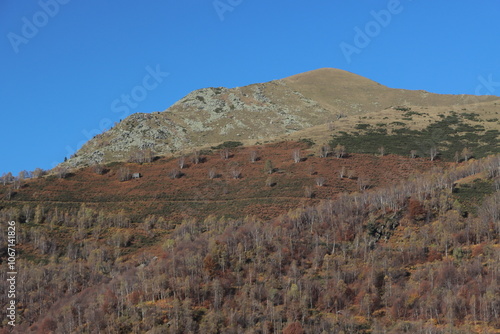 La montaña enseña a caminar, amar y contemplar los cambios de las estaciones. En este caso el color naranja abraza el otoño y el drone lo capta en video.