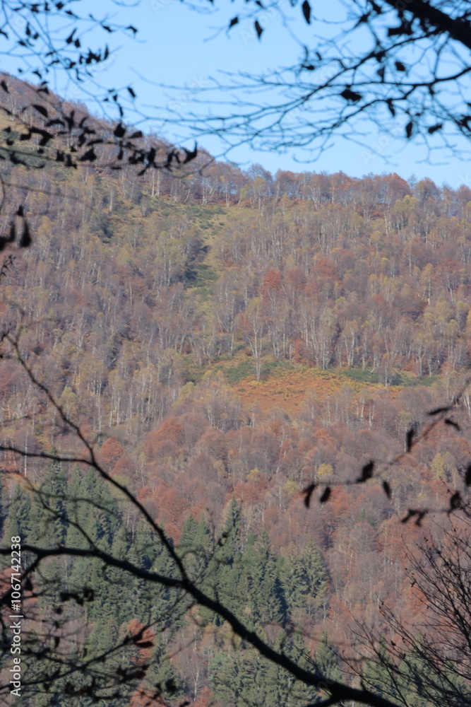 La montaña enseña a caminar, amar y contemplar los cambios de las estaciones. En este caso el color naranja abraza el otoño y el drone lo capta en video. La montaña enseña a caminar, amar y contemplar los cambios de las estaciones. En este caso el color naranja abraza el otoño y el drone lo capta en video.