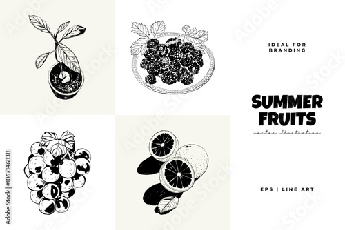 Abstract fruits vector black ink . Modern trendyи minimal style. Exotic Healthy Food. Hand drawn design for wallpaper, wall decor, print, postcard, cover, template, banner.