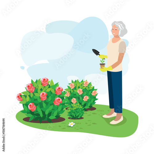 Happy elderly woman planting ornamental plants in her garden. Active pensioners. Vector illustration.