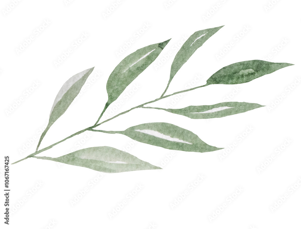 Fototapeta premium Watercolor twig with green leaves isolated illustration, botanical wedding element