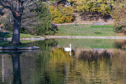 Wallpaper Mural swan in the pond spring grove cemetery cincinnati ohio Torontodigital.ca