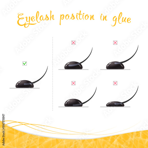 Eyelash position in glue