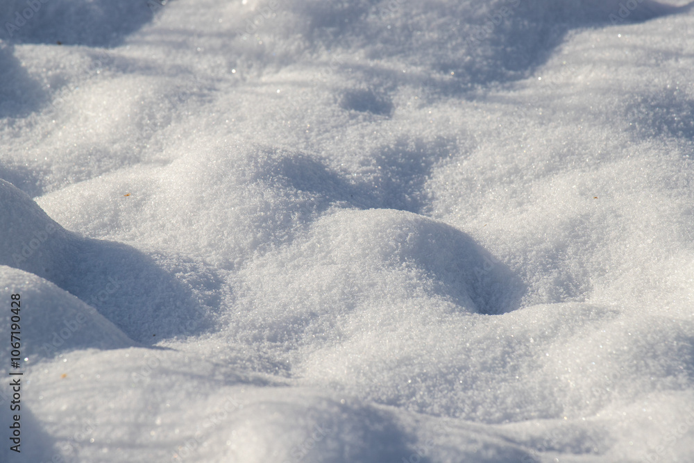 The snow is white and fluffy, creating a peaceful and serene atmosphere The snow is white and fluffy, creating a peaceful and serene atmosphere