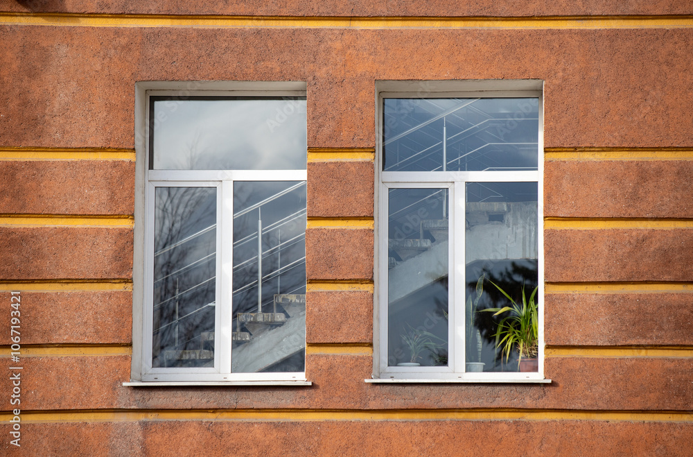 Two windows on a building with a plant in one of them Two windows on a building with a plant in one of them