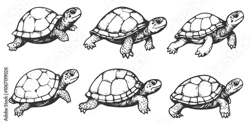 Whimsical hand-drawn turtles in line art, captured in vector style. The charming and simple turtle illustrations feature distinctive shapes and patterns, ideal for various creative uses. photo