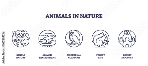Animals in nature depicted as outline icons, includes koala, frog, owl. Outline icons set.