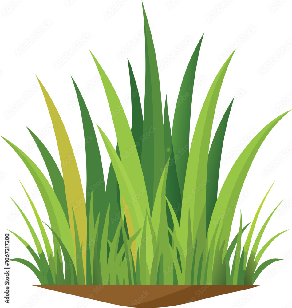 Fototapeta premium isolated grass no background free vector
