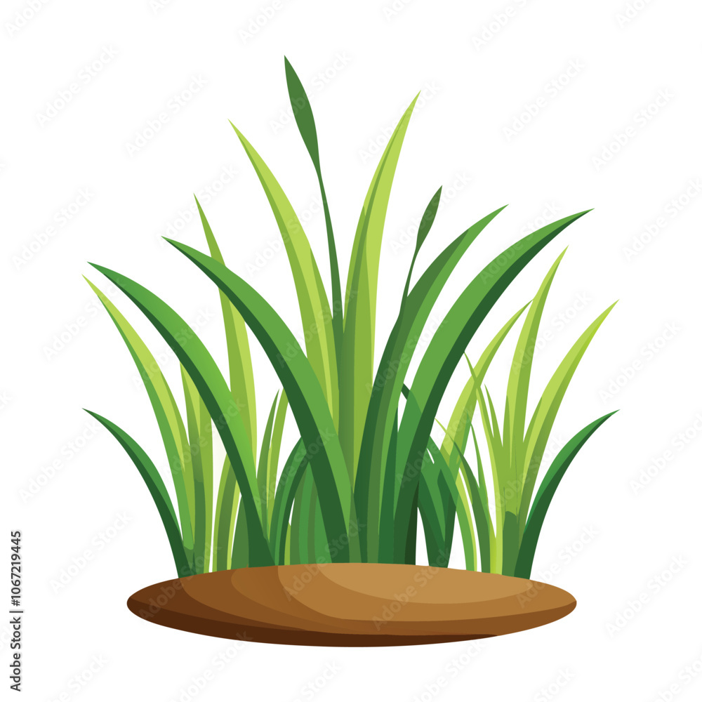 isolated grass no background free vector isolated grass no background free vector