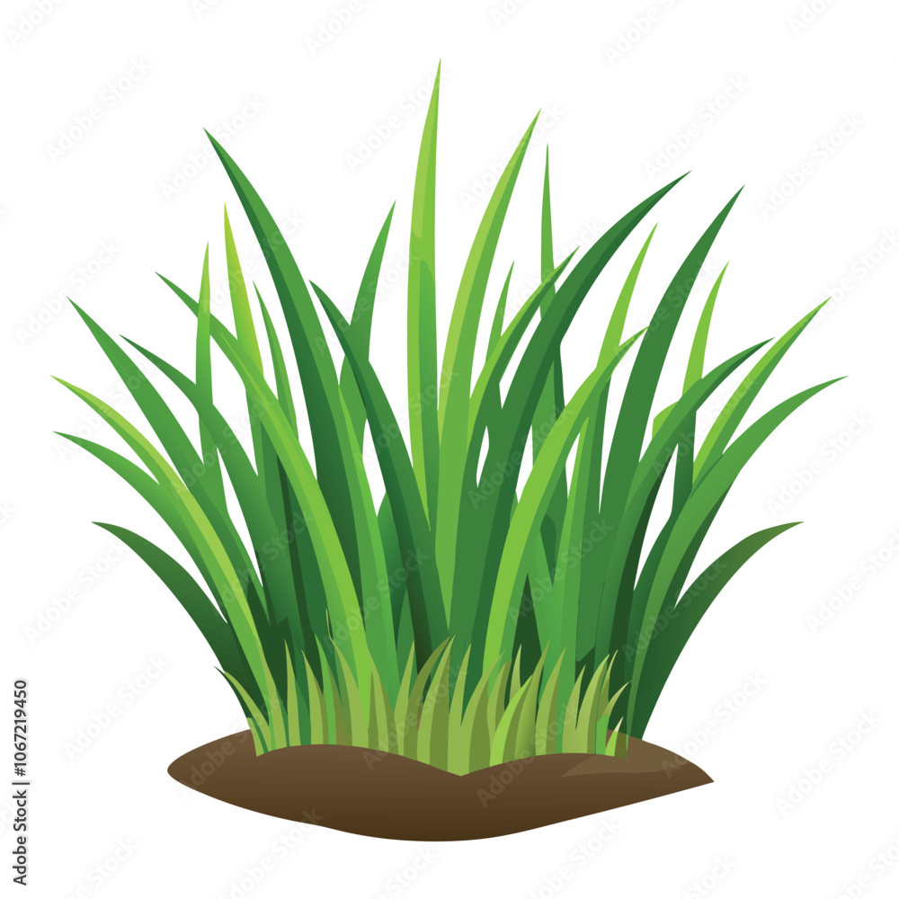 isolated grass no background free vector isolated grass no background free vector